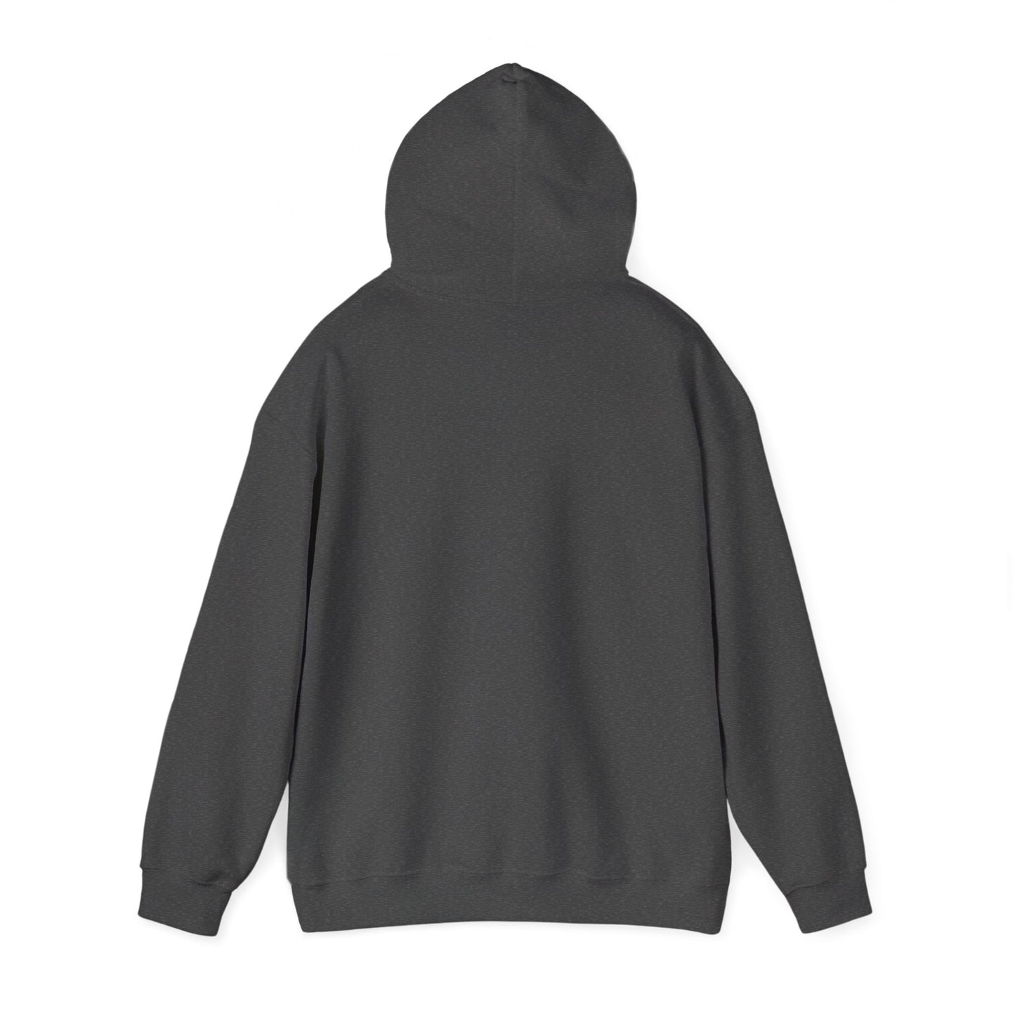 Straight Outta Mt Airy - Hoodie
